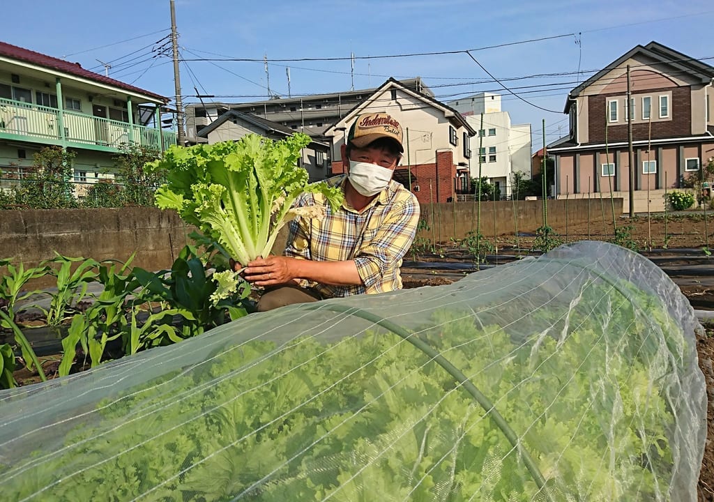 小城ファーム福島さん