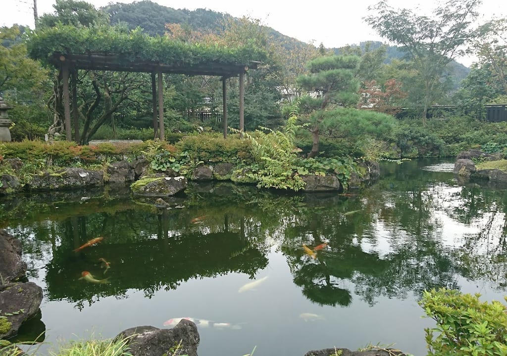 駒木野庭園９