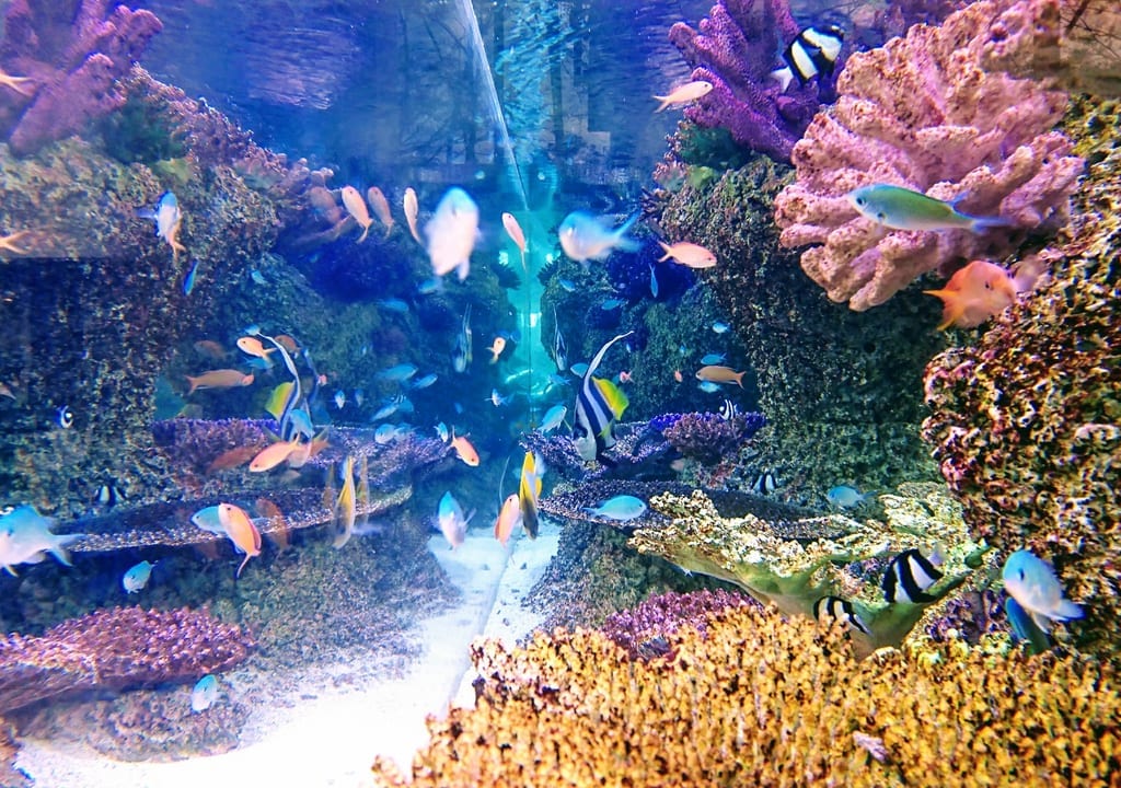 水族館