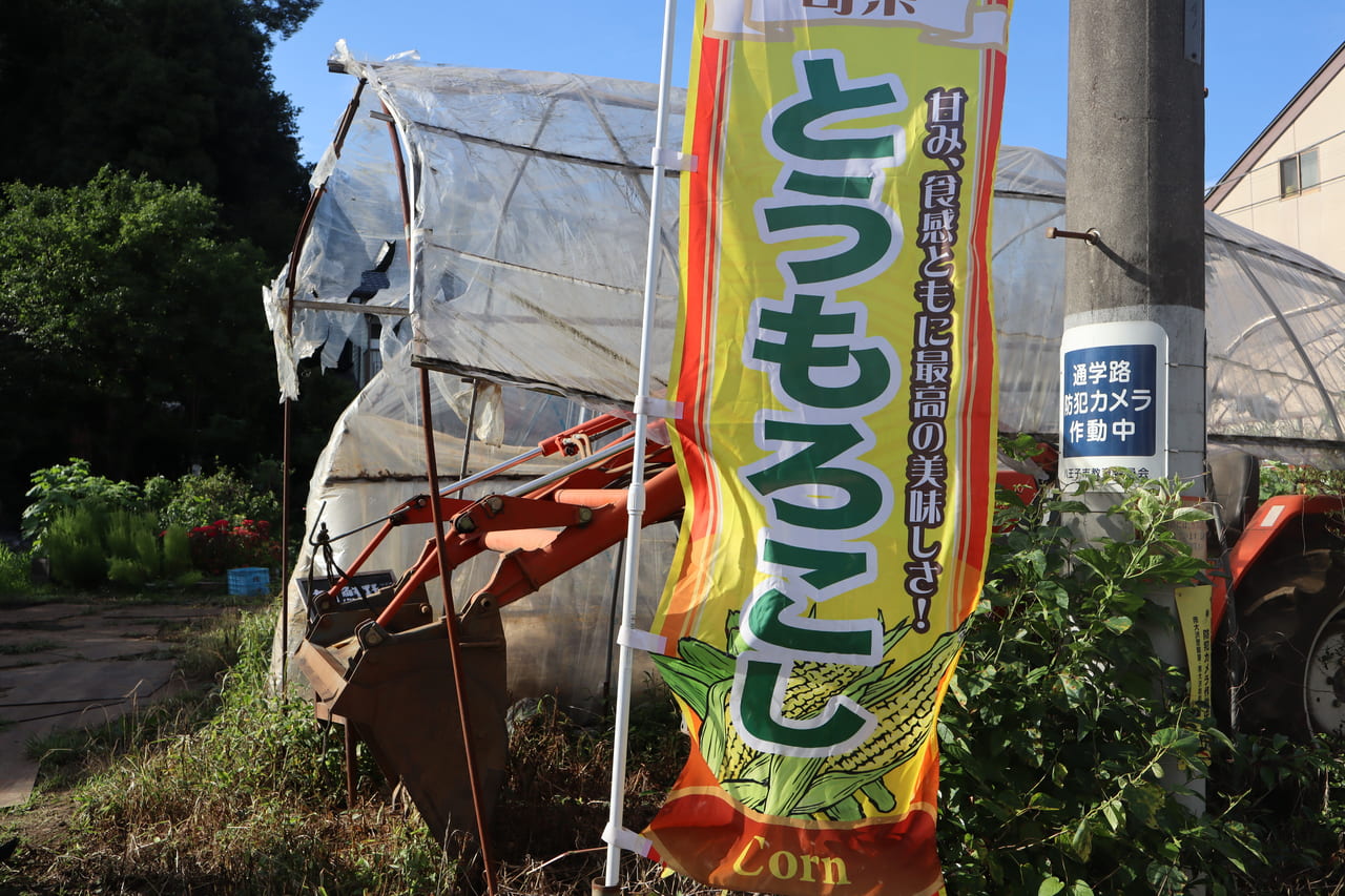 八王子市 清里高原みたいに とうもろこし の幟がなびいている週２回 ３時間しかオープンしない直売所を発見 号外net 八王子市
