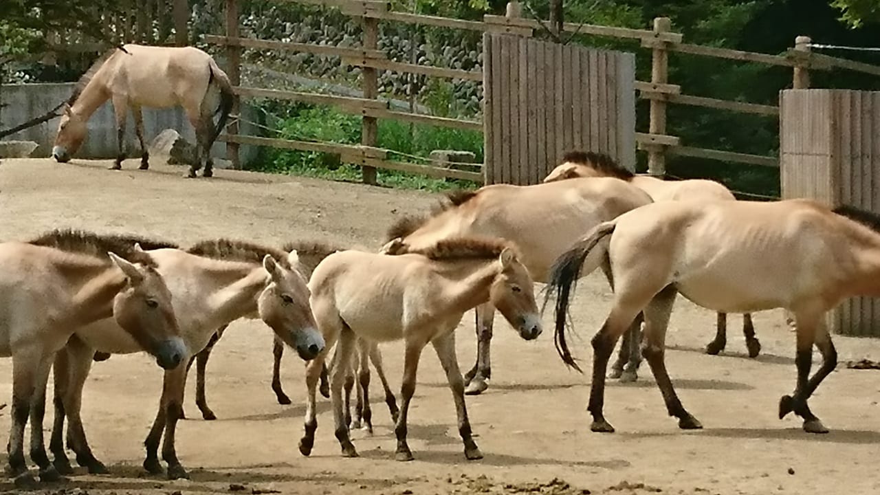 多摩動物公園