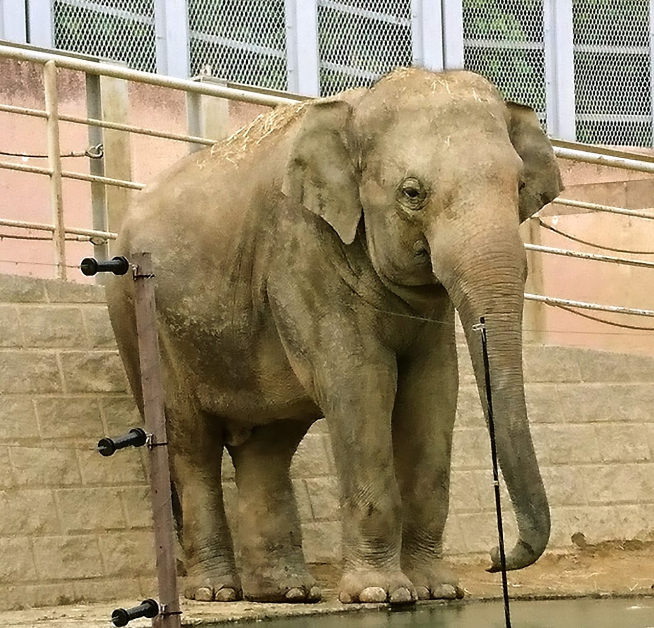 多摩動物公園