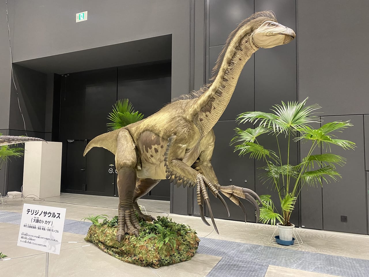 東京たま大恐竜博
