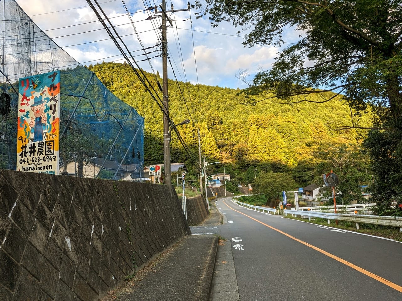 花井農園