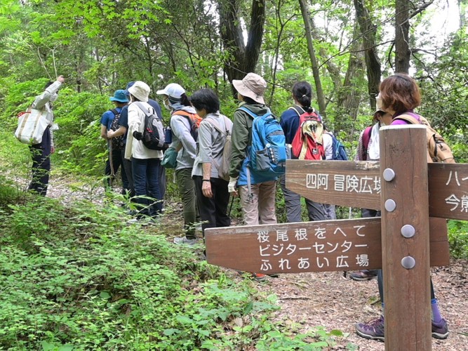 小峰公園