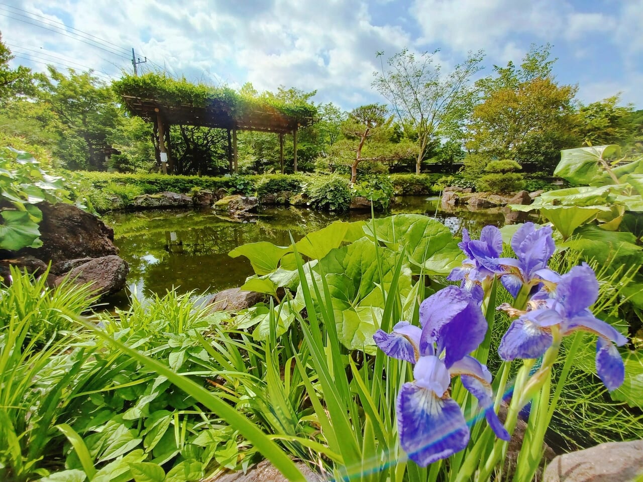 駒木野庭園