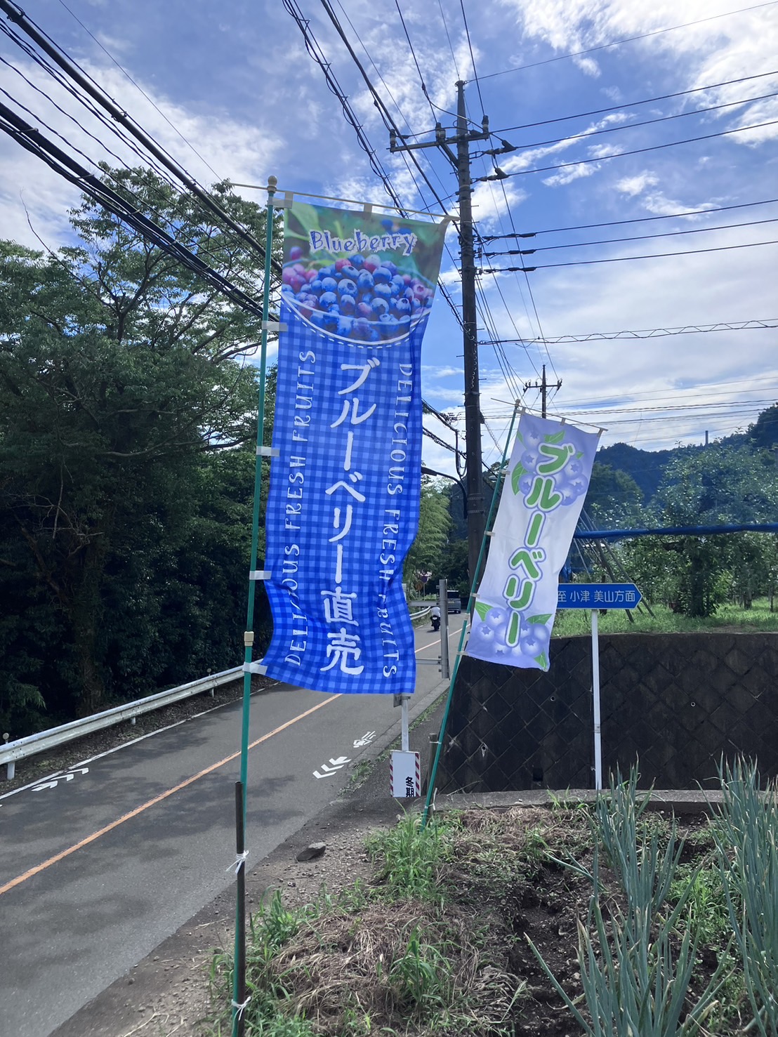 花井農園