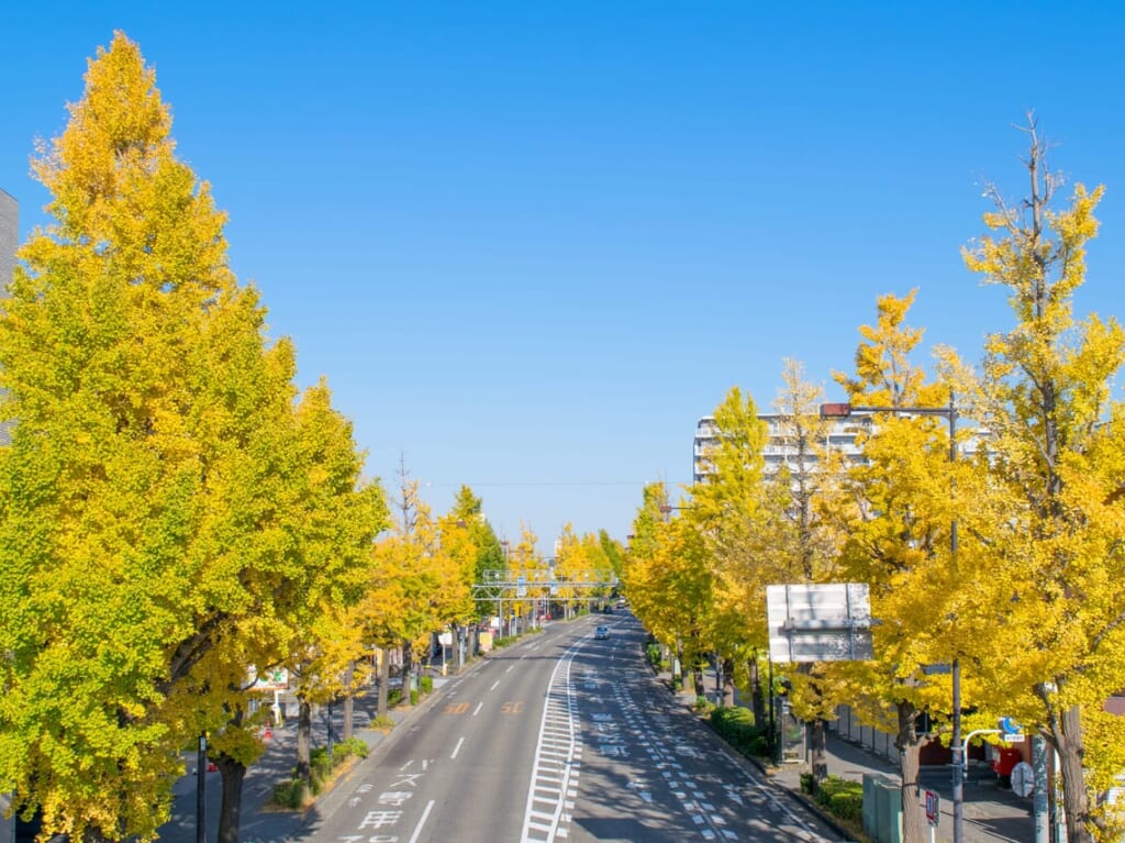 東京都スポーツ文化事業団
