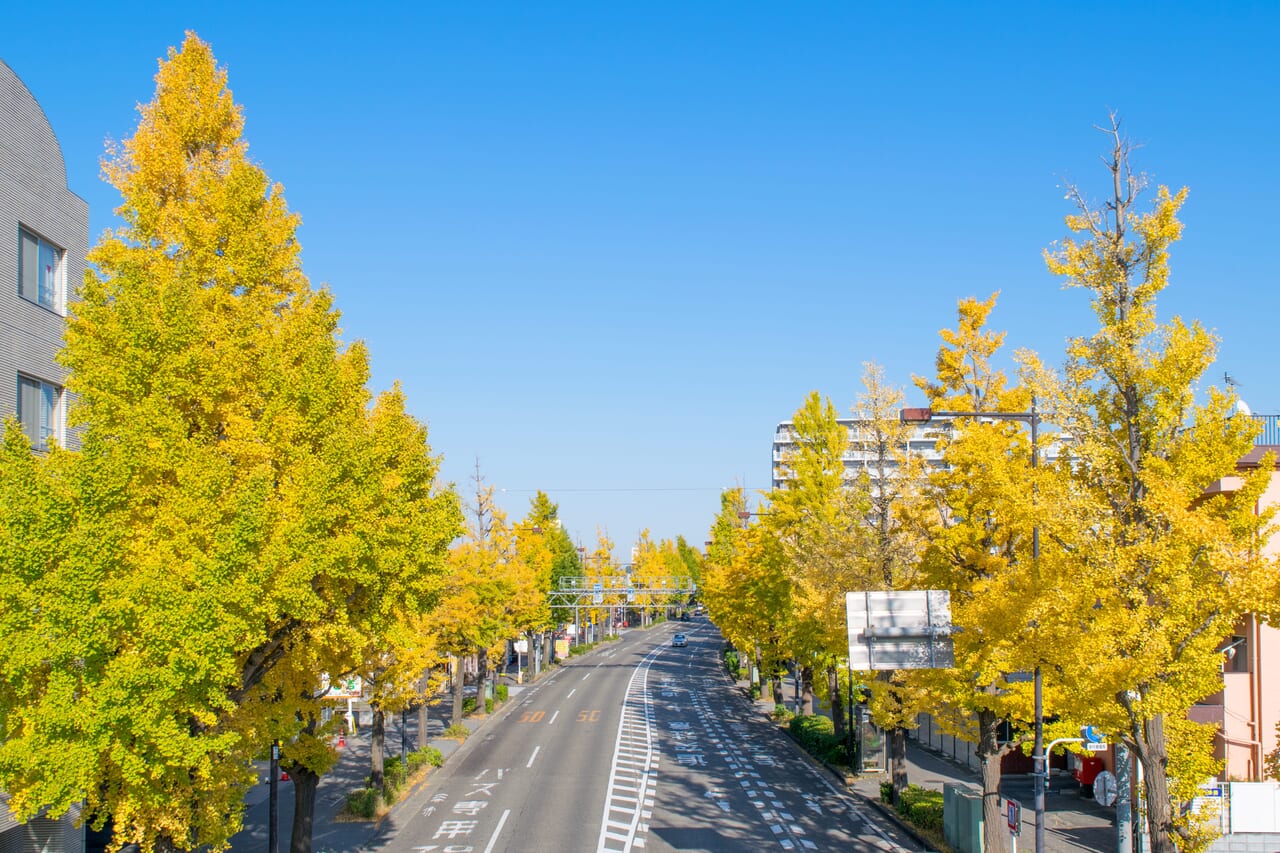 東京都スポーツ文化事業団