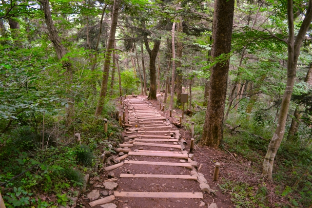 高尾山