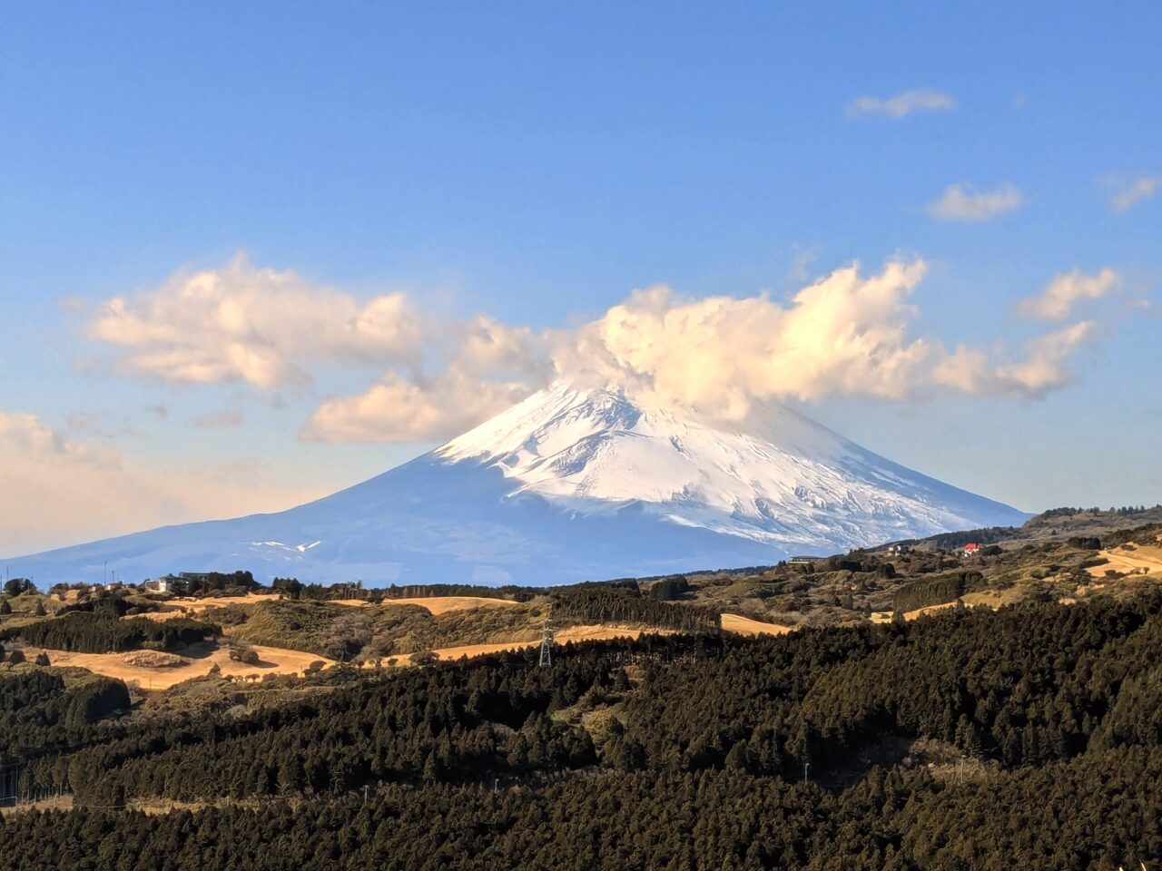 富士山