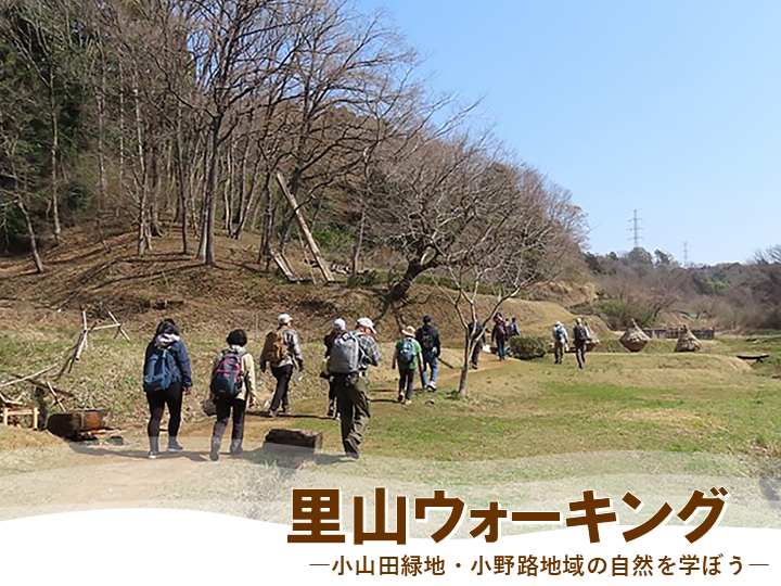 小山田緑地