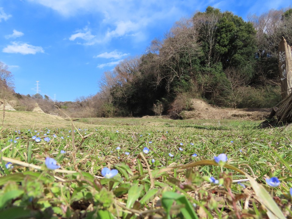 小山田緑地