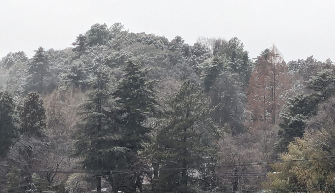 雪