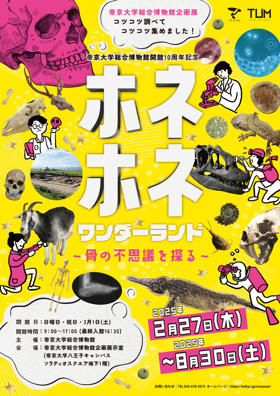 帝京大学