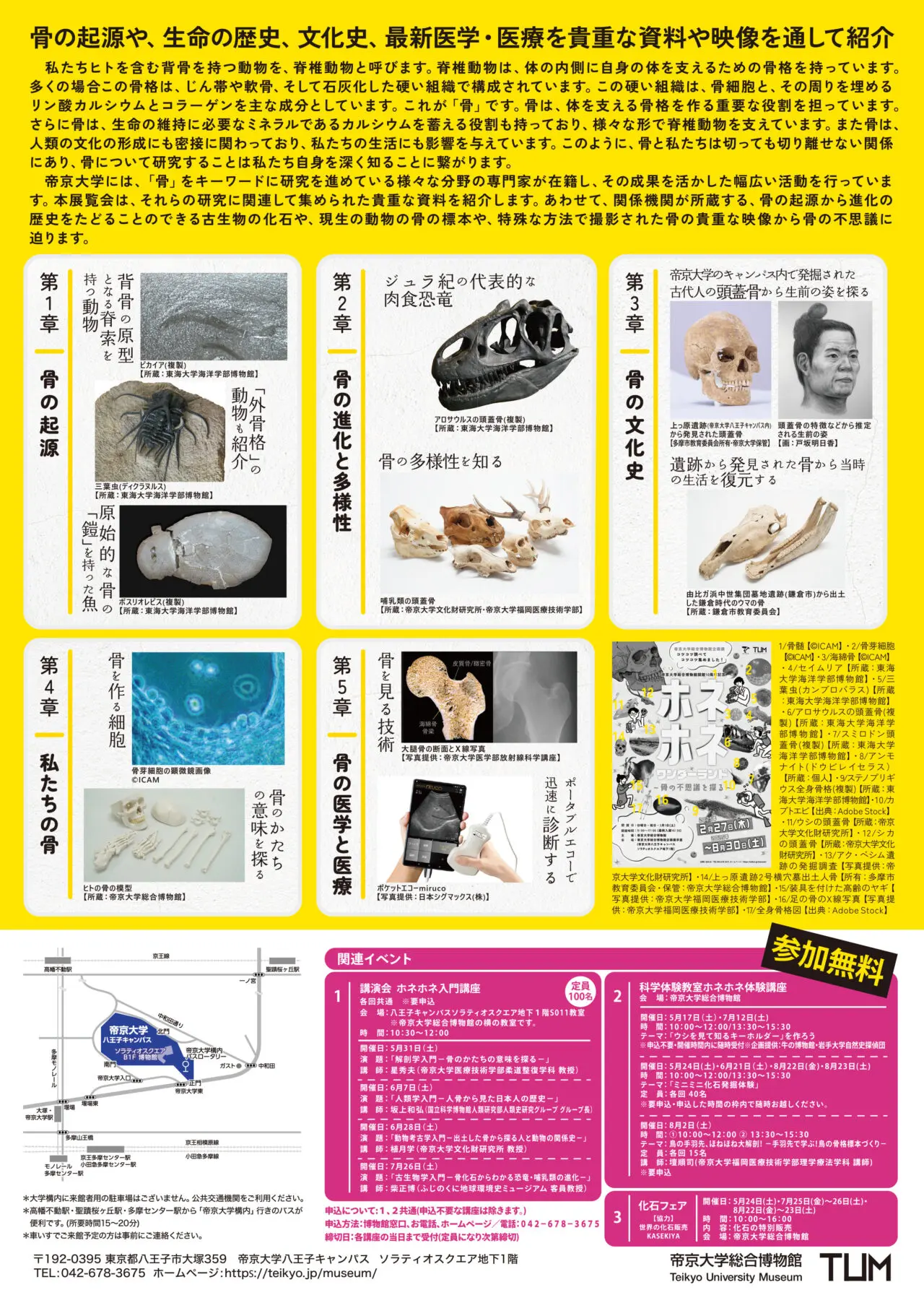 帝京大学