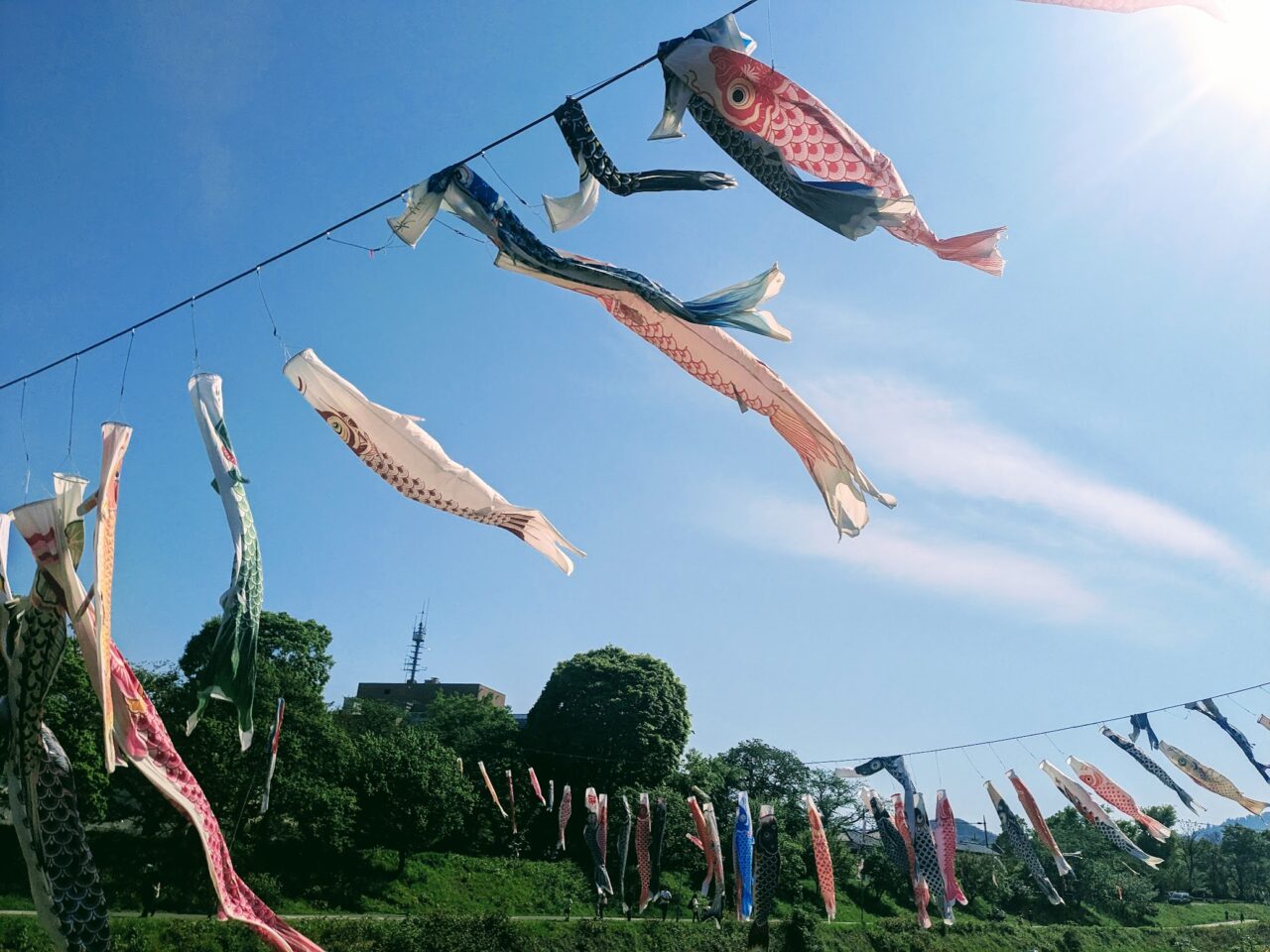 長房
