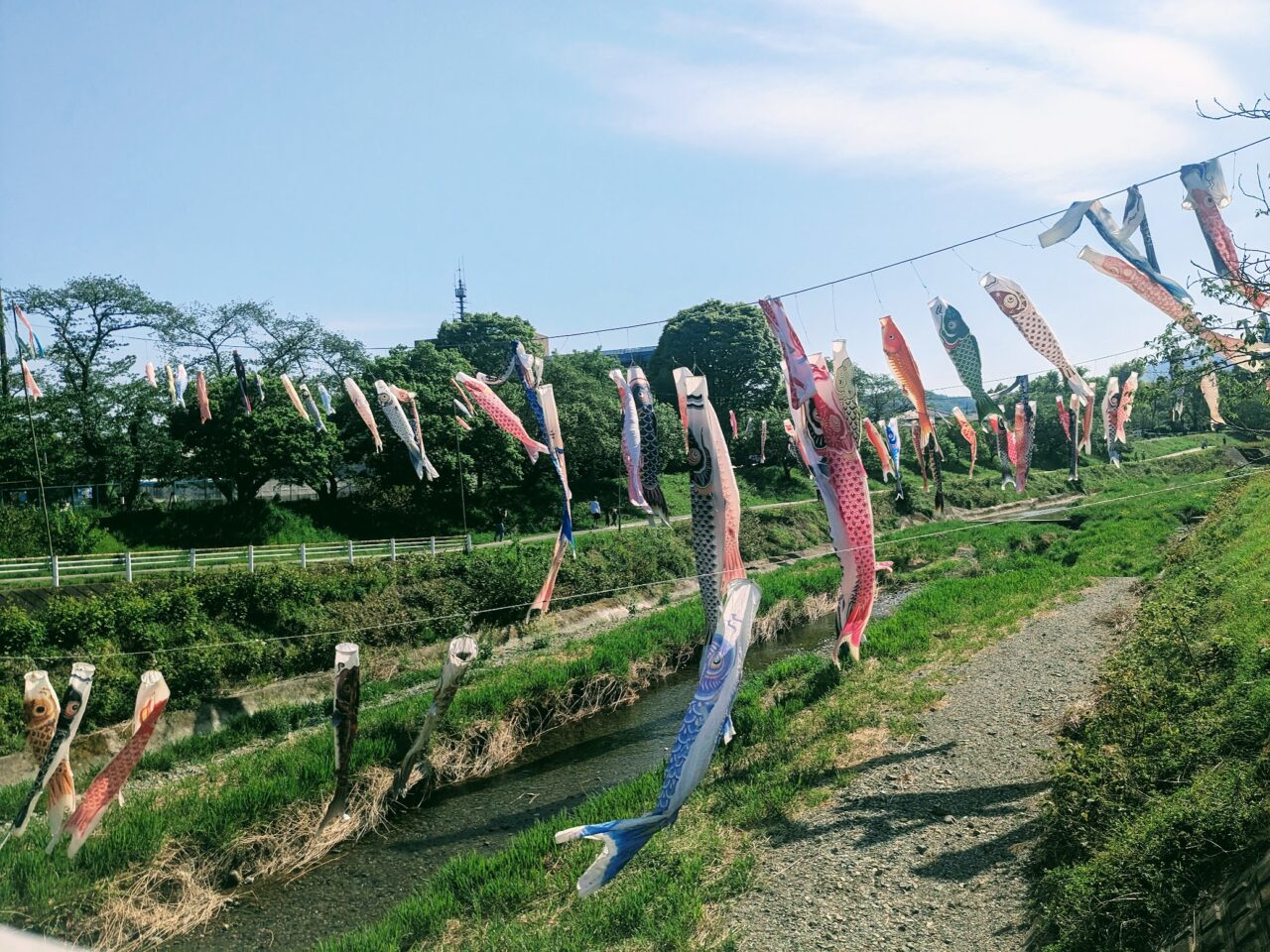 長房