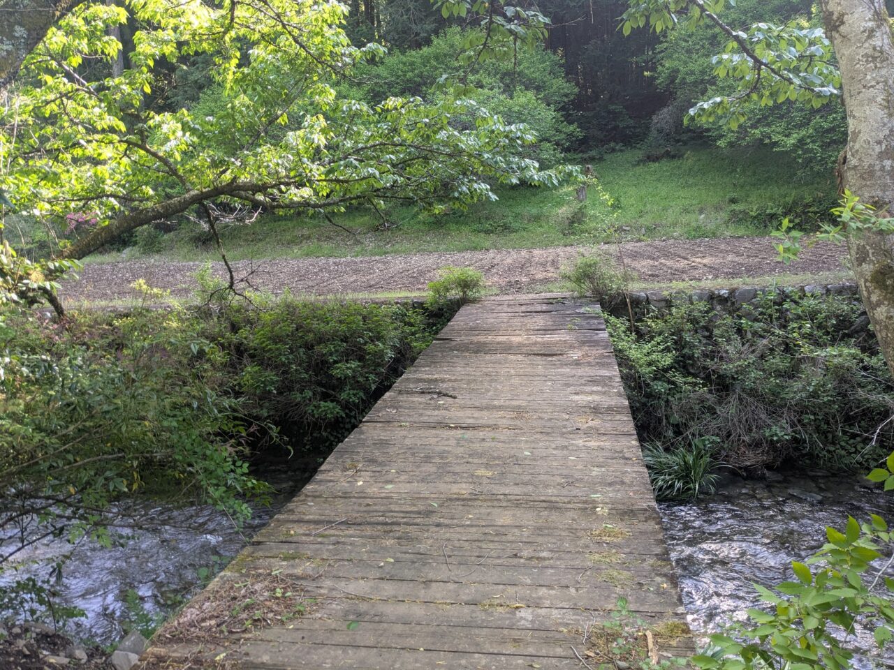 道