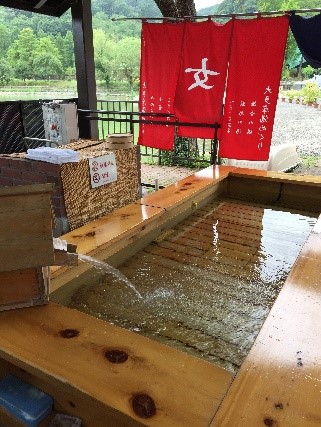 わんダフルネイチャーヴィレッジ