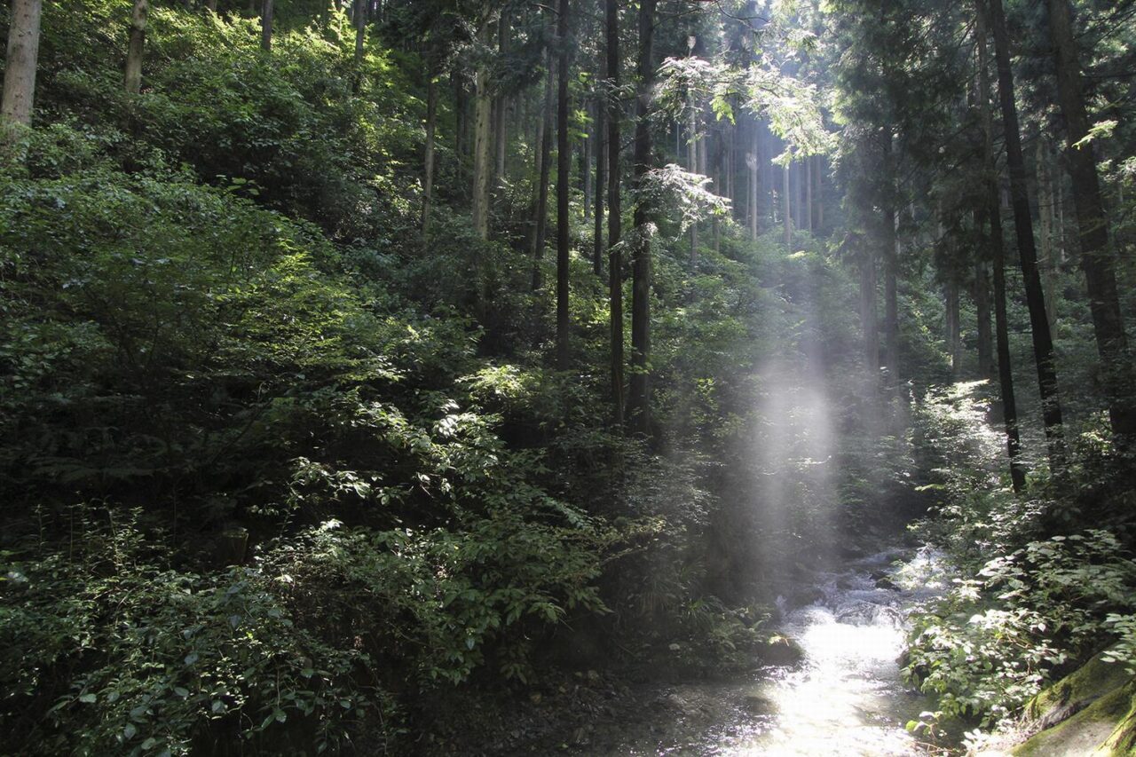 高尾山