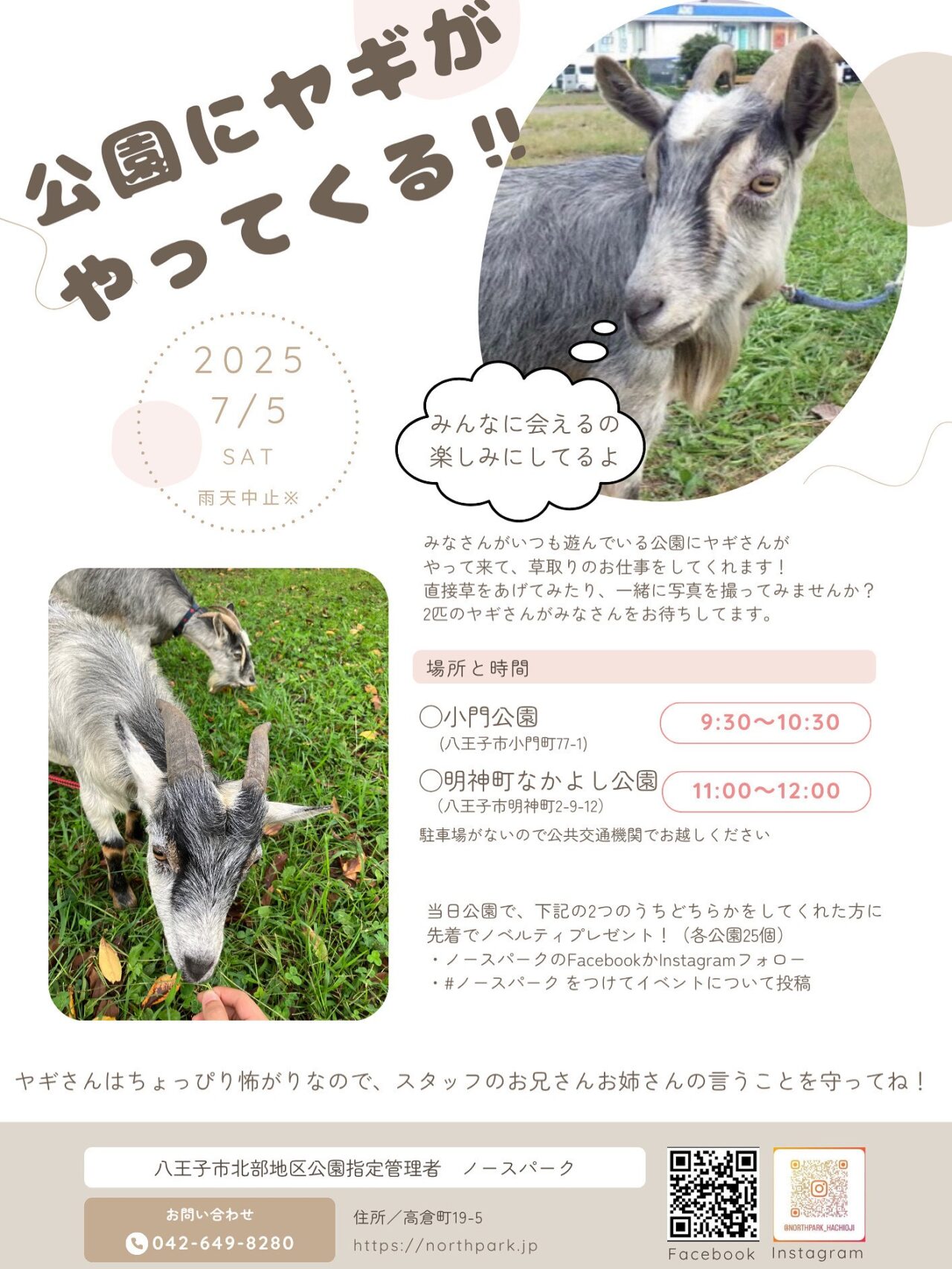 ヤギ