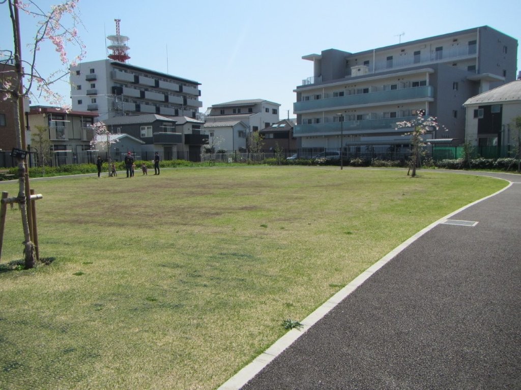 ヤギ