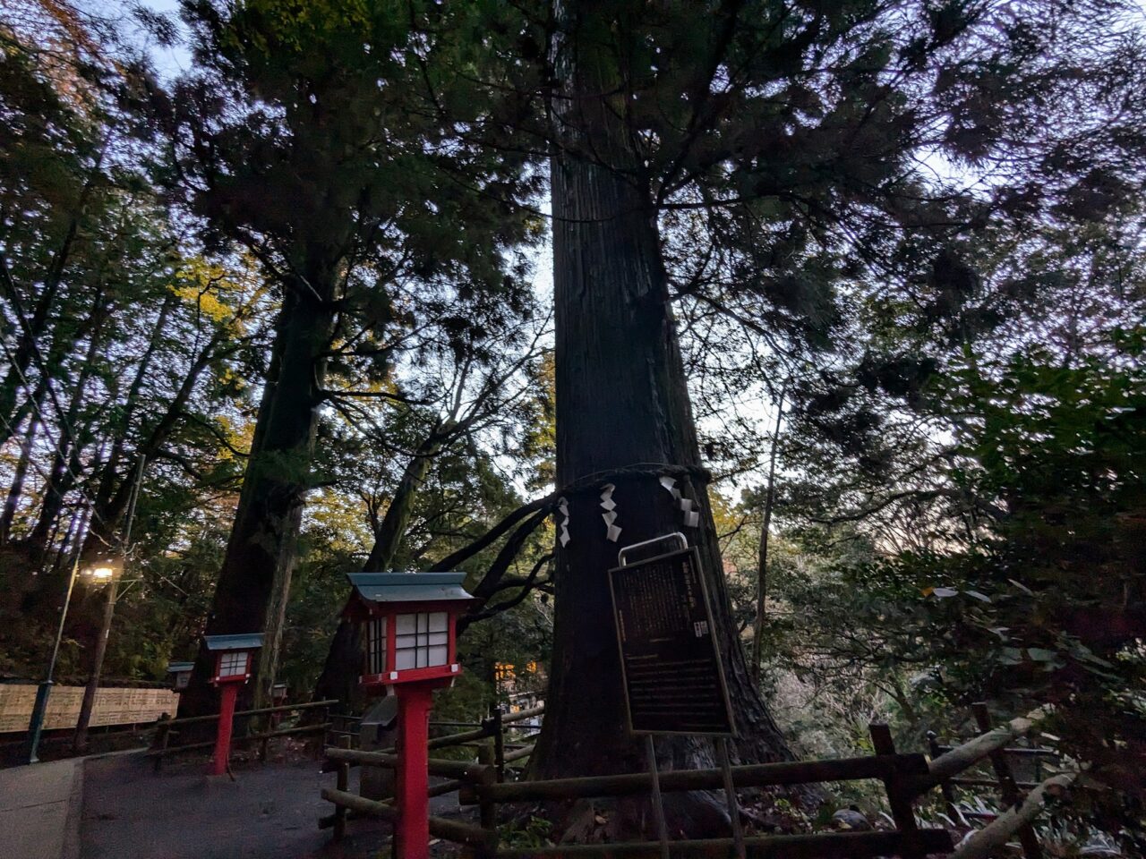 高尾山