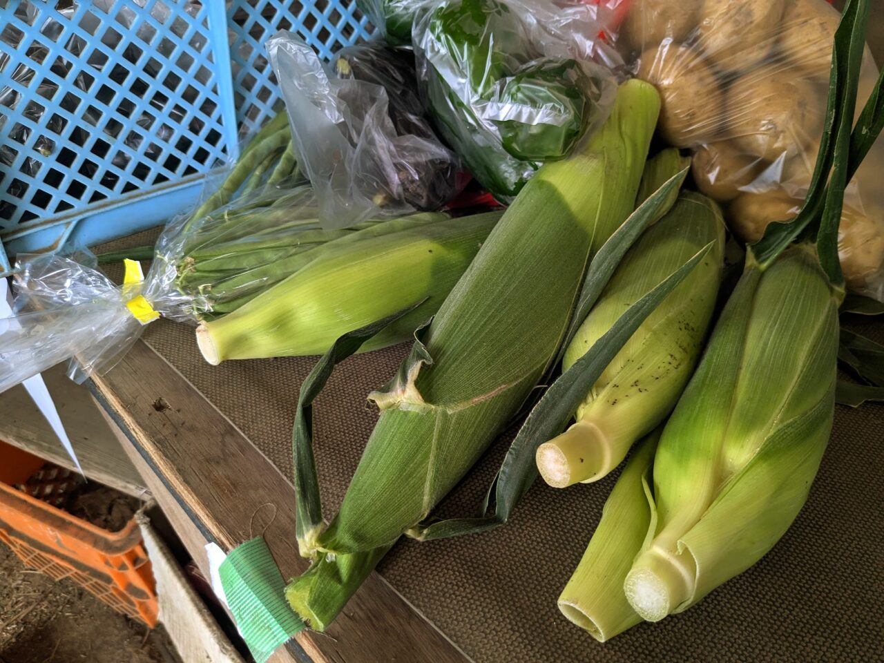 鈴木農園