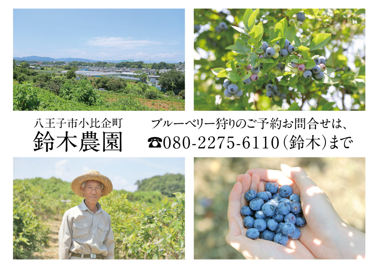 ブルーベリー
