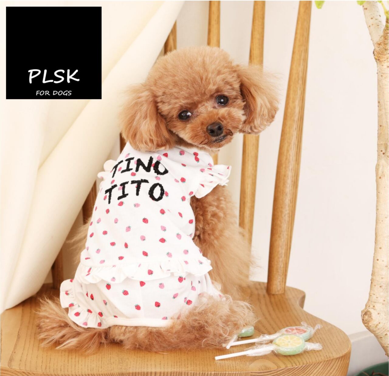 PLSK FOR DOG
