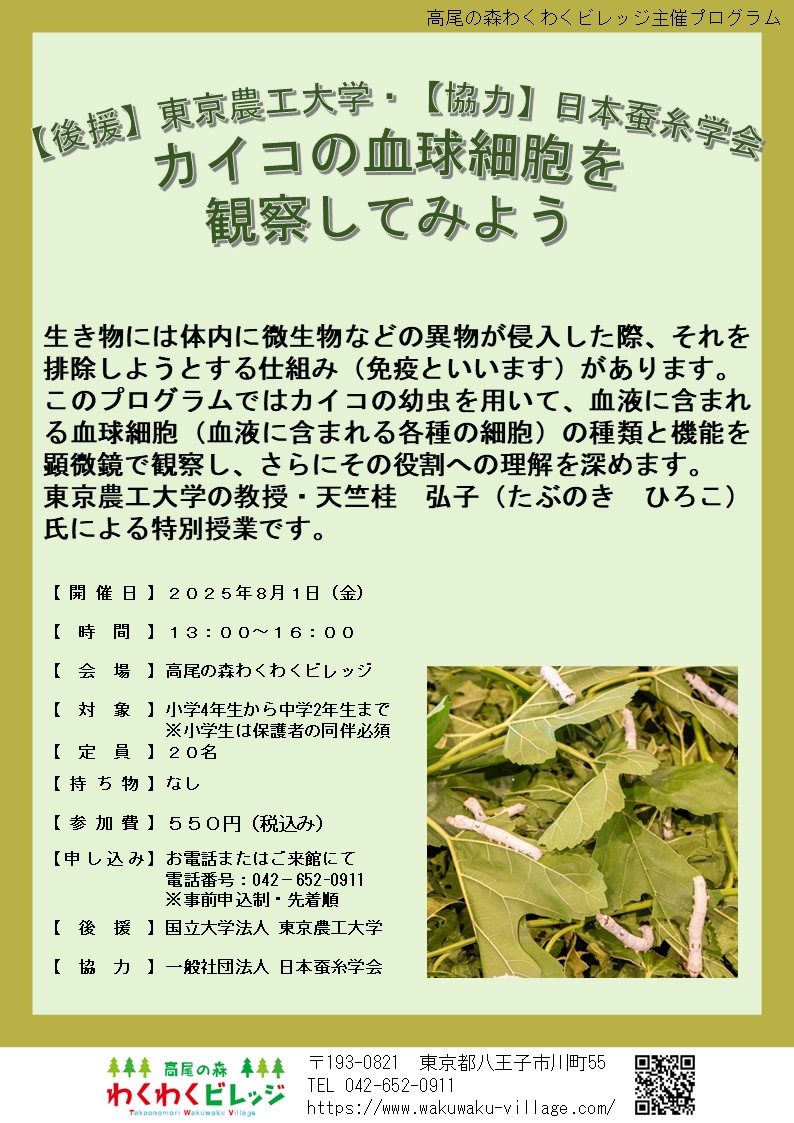 わくわくビレッジ