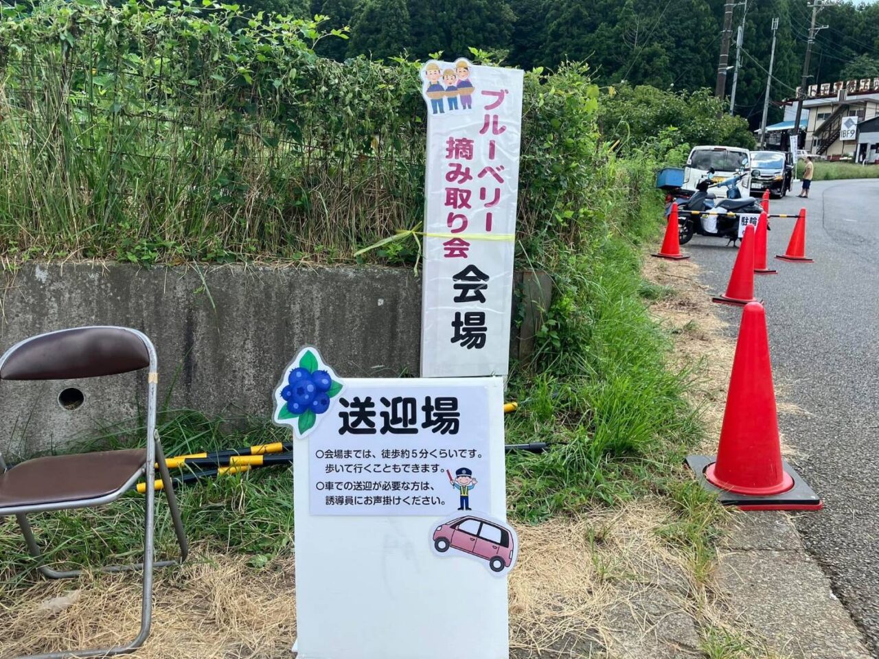ブルーベリー