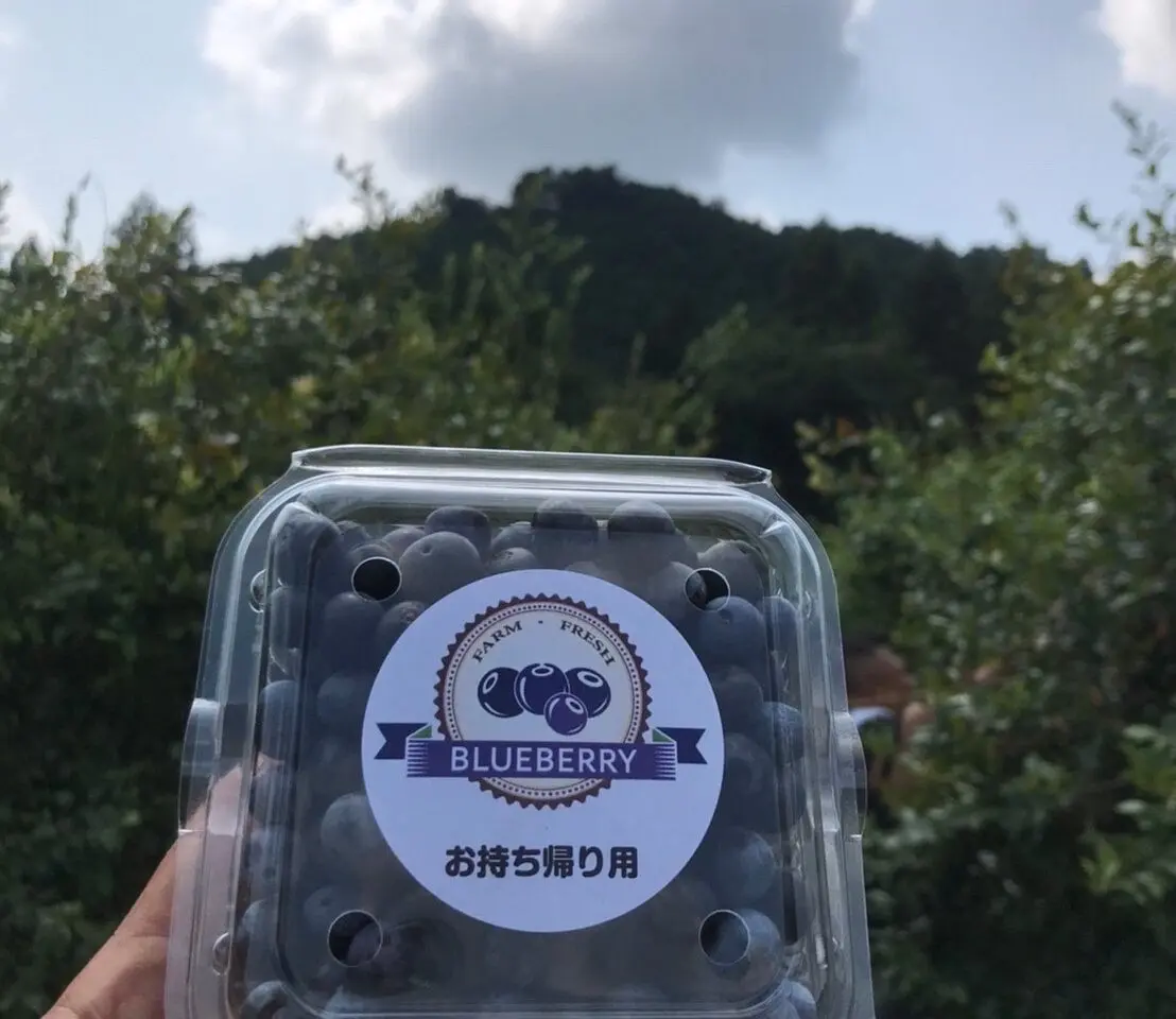 ブルーベリー