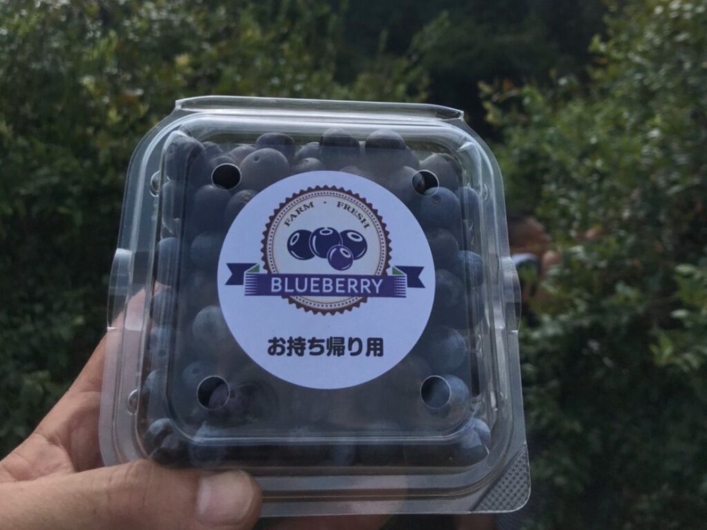 ブルーベリー