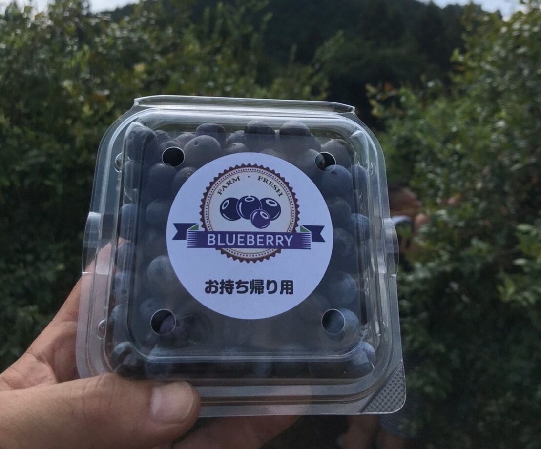 ブルーベリー