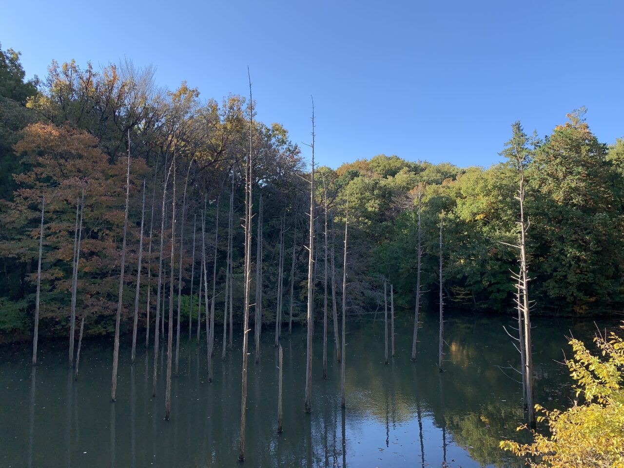 小山内裏公園