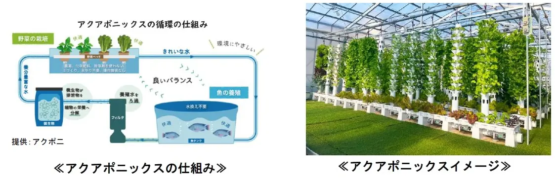 京王電鉄