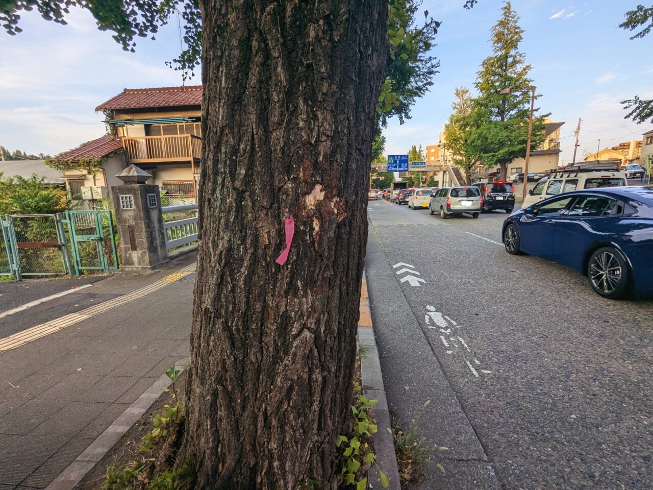 甲州街道