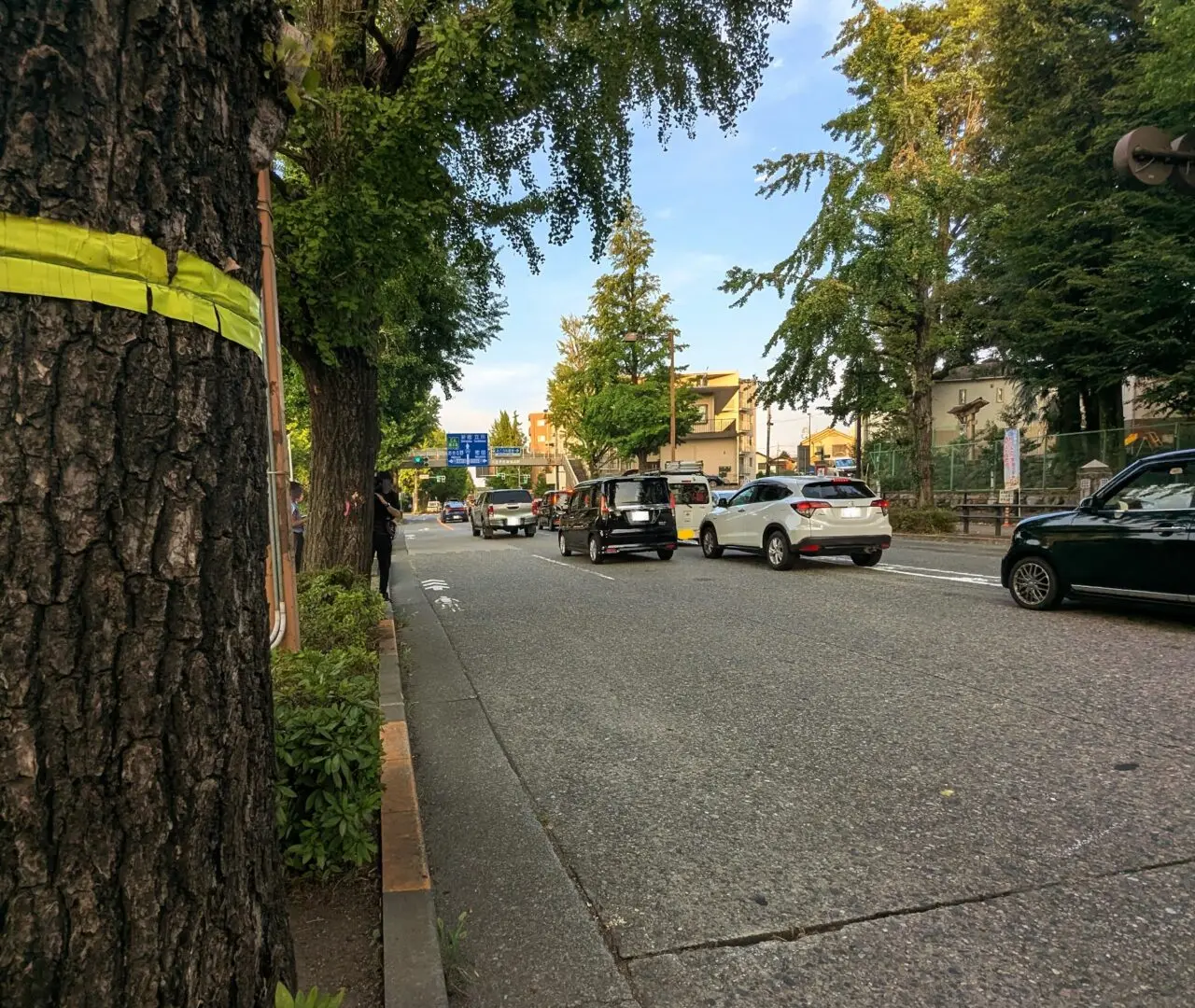 甲州街道