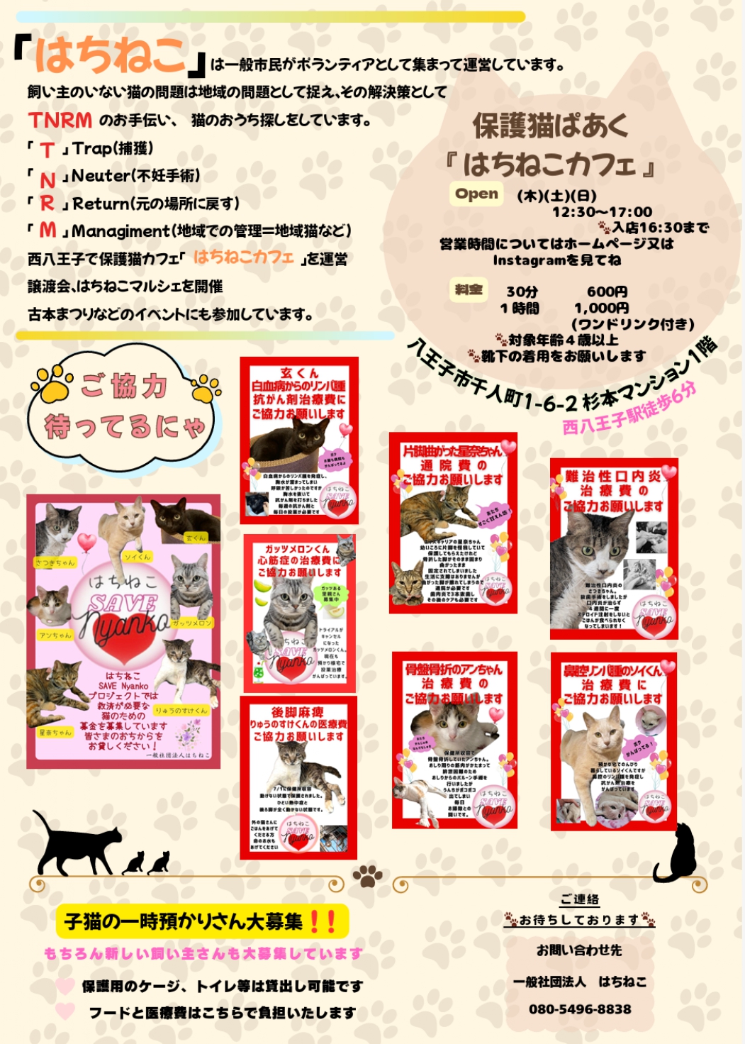 はちねこマルシェ