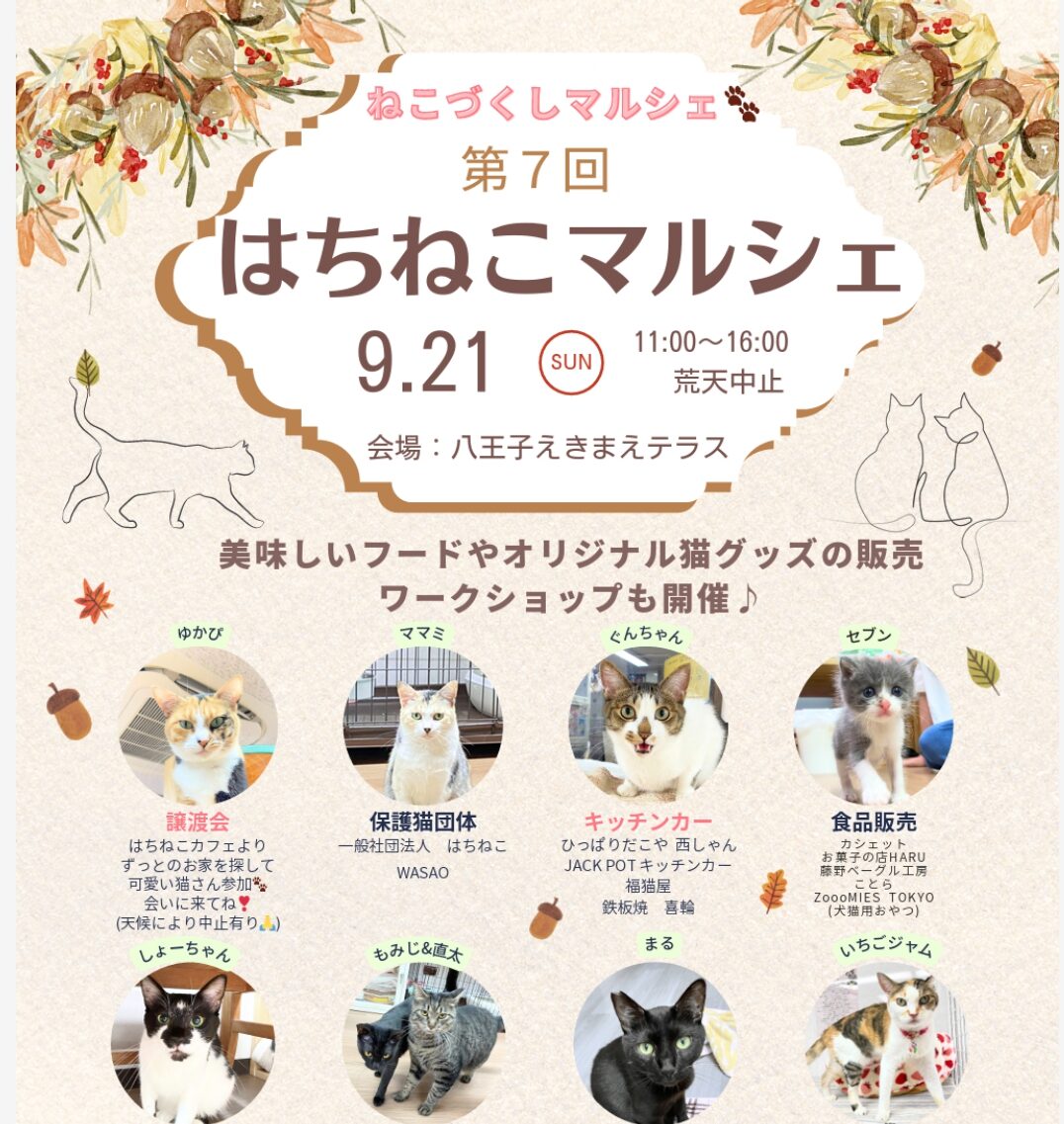 八王子市】猫に癒されたい方に最適な催し。9月21日(日)えきまえテラス