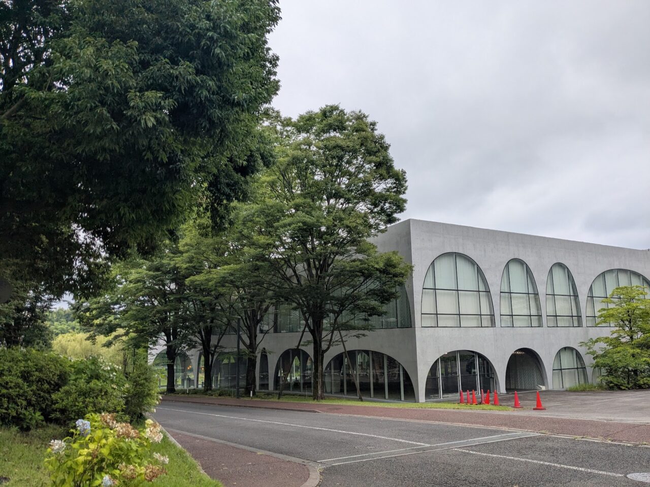 多摩美術大学