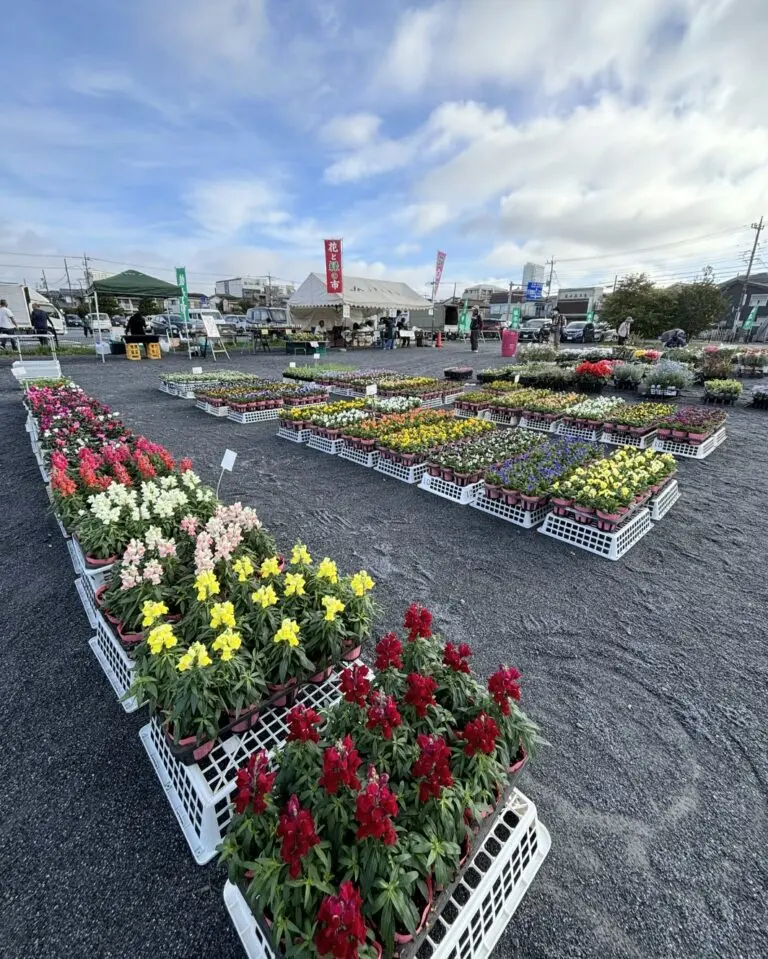 JA植木市