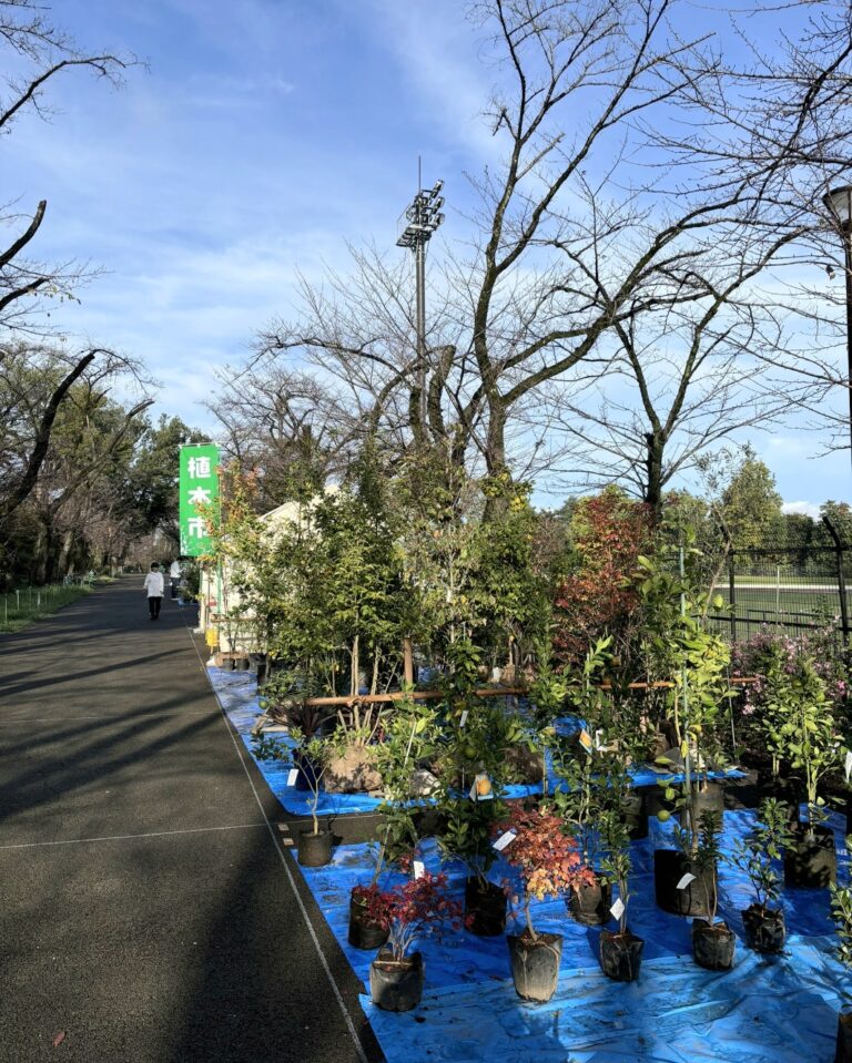 JA植木市