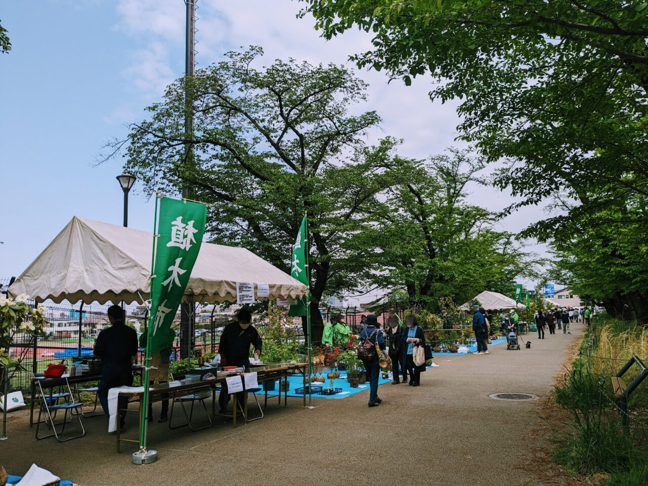 JA植木市
