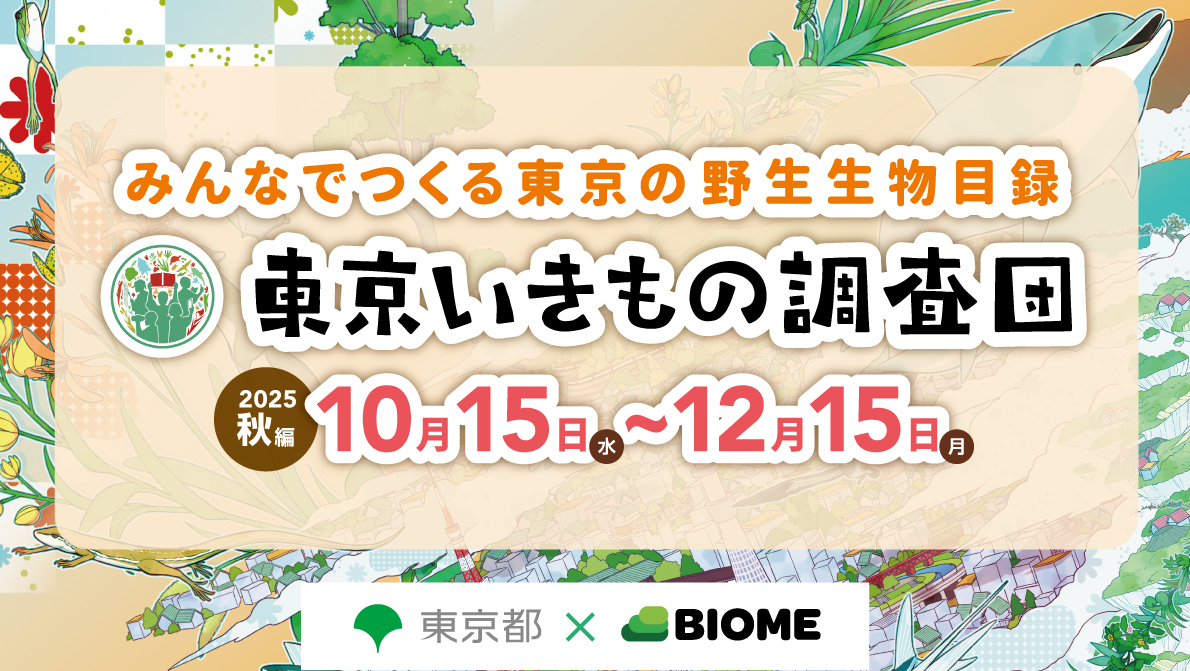 東京いきもの調査団