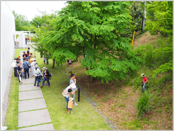 東京いきもの調査隊