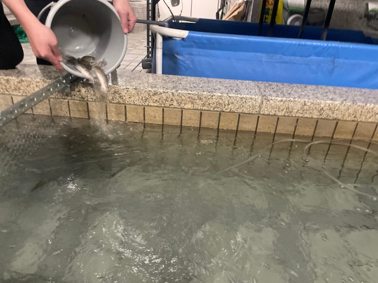 京王プラザホテル