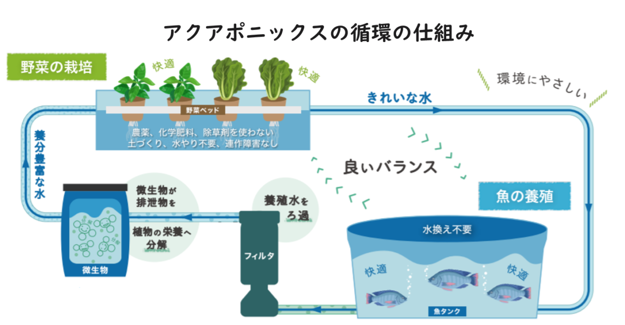 京王プラザホテル